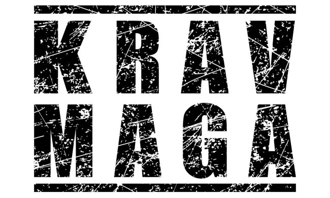Krav Maga paris 8